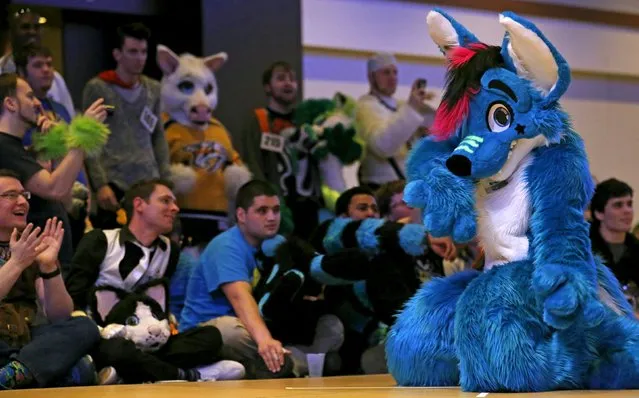 An attendee dressed in a "fursuit" costume performs during a dance competition at the Midwest FurFest in the Chicago suburb of Rosemont, Illinois, United States, December 4, 2015. (Photo by Jim Young/Reuters)