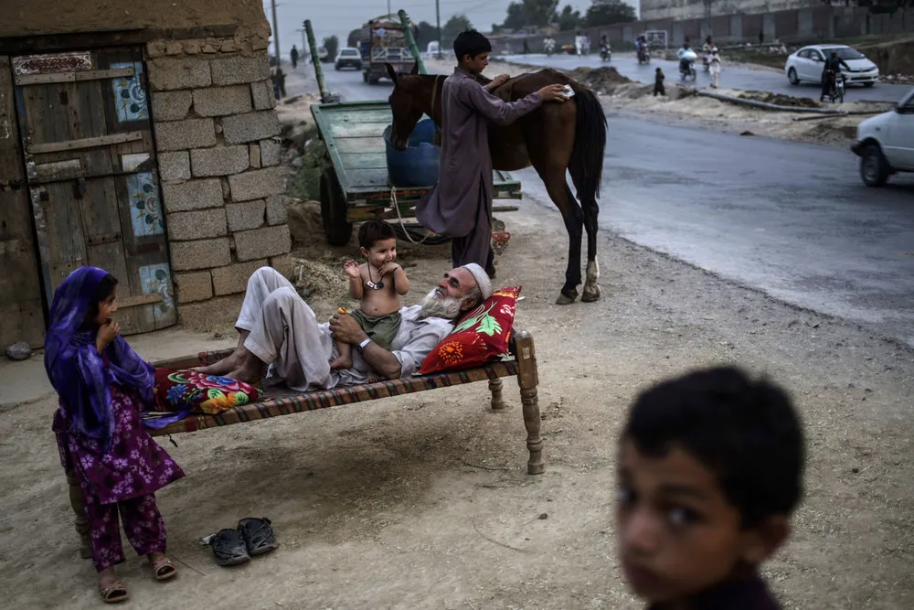 The Week in Pictures: June 21 – June 28, 2013 (77 Photos)