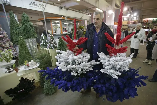 A nursery gardener holds Christmas trees painted with the blue, white, red colors of the French flag, in Rungis International food market as buyers prepare for the Christmas holiday season in Rungis, south of Paris, December 11, 2015. (Photo by Philippe Wojazer/Reuters)