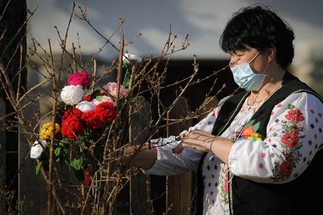 A woman wearing a face mask places knitted flowers in a bush during a spring charms fair at the Dimitrie Gusti Village Museum Museum in Bucharest, Romania, February 27, 2021. Millions of East Europeans celebrate the arrival of spring on March 1 with charms tied with red-and-white string, a centuries-old custom symbolizing hope and a new season. (Photo by Vadim Ghirda/AP Photo)