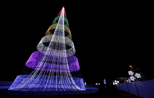 A Christmas tree stands in the Park Simon Bolivar in Bogota, Colombia, December 7, 2015. (Photo by John Vizcaino/Reuters)
