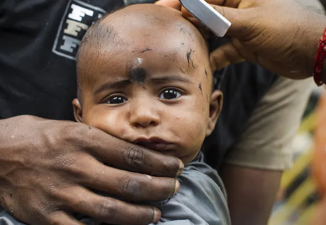 A Hindu child gets his head shaven during the Thaipusam festival in Kuala Lumpur, Malaysia, Tuesday, February 3, 2015. (Photo by Joshua Paul/AP Photo)