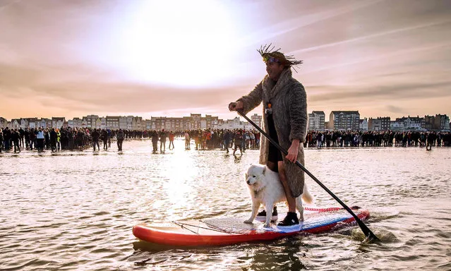 A man paddles with his dog on a surf board as people take part in the traditional New Year's sea plunge on January 1, 2016 at Malo-Les-Bains beach in Dunkirk, northern France. (Photo by Philippe Huguen/AFP Photo)