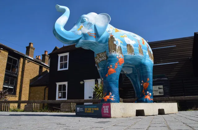 Charity “Herd In The City” have placed a series of elephant sculptures in around the City of Southend. Each elephant is individually decorated by an artist. Donations are collected and passed on to the city's local charities. Image shows elephants on display in Leigh-On-Sea, near Southend on August 23, 2023. (Photo by Fraser Gray/Rex Features/Shutterstock)