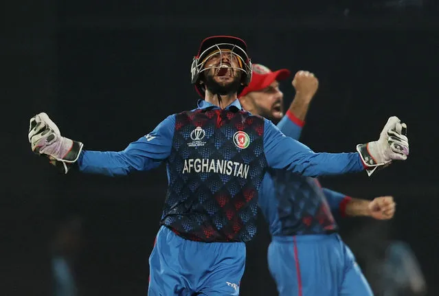 Afghanistan's Ikram Alikhil celebrates after Rashid Khan bowls out England's Mark Wood to win the ICC Cricket World Cup 2023 England v Afghanistan match at Arun Jaitley Stadium, New Delhi, India on October 15, 2023. (Photo by Anushree Fadnavis/Reuters)