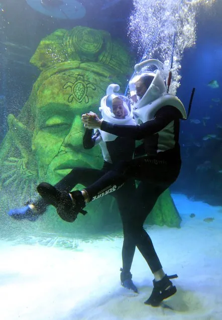 Strictly Come Dancing stars Ola Jordan  and Ashley Taylor Dawson practising their dance moves under water at the Sea Life Centre in Manchester, on November 22, 2013. (Photo by Dave Thompson/PA Wire)