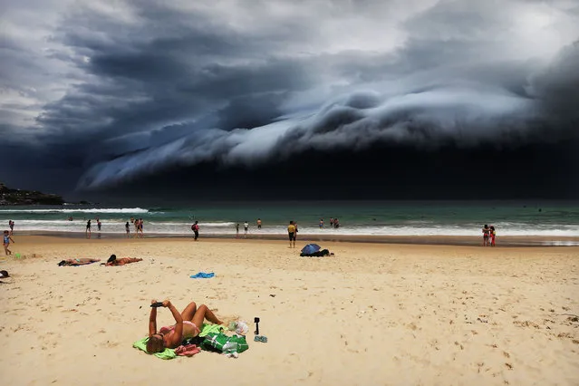 “Storm Front on Bondi Beach”. Nature, first prize singles. Rohan Kelly, Australia, Daily Telegraph. Location: Sydney, Australia. A massive “cloud tsunami” looms over Sydney as a sunbather reads, oblivious to the approaching cloud on Bondi Beach, November 6, 2015. (Photo by Rohan Kelly/World Press Photo Contest)