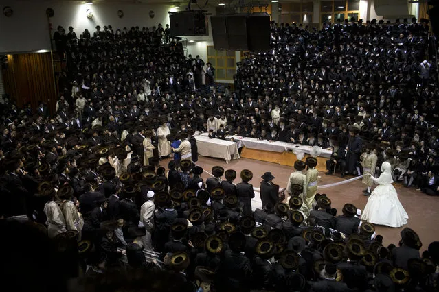 An ultra-Orthodox Jewish bride enters to the men's section of the wedding, to fulfill the Mitzvah tantz, in which family members and honored rabbis are invited to dance in front of the bride, often holding a gartel, and then dancing with the groom, during her wedding to the grandson of the Rabbi of the Tzanz Hasidic dynasty community, in Netanya, Israel, Wednesday, March 16, 2016. (Photo by Oded Balilty/AP Photo)