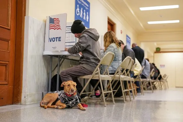 A dog waits for its owner to finish voting at the San Francisco City Hall voting center during the Super Tuesday primary election in San Francisco, California, U.S. March 5, 2024. (Photo by Loren Elliott/Reuters)