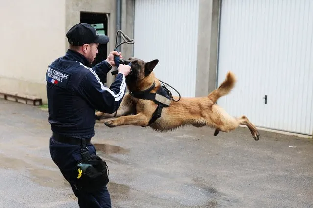 A police officer of the National Dog Unit, trains a dog at the 'Centre National de Formation des Unites Cynotechniques' in Cannes-Ecluse, south of Paris, on March 12, 2024. As an essential ressource for the Paris 2024 Olympics, explosive-sniffing dogs will not only help to ensure the security of the event, but also the smooth flow of transport, where every piece of abandoned luggage can lead to long interruptions in traffic, without a dog squad nearby. (Photo by Alain Jocard/AFP Photo)