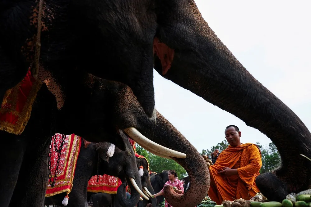 A Look at Life in Thailand