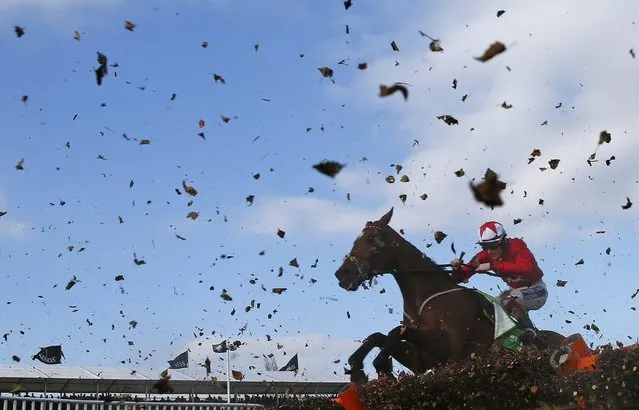 Sam Twiston-Davies on The New One jumps the final fence of the Champion Hurdle Challenge Trophy at the Cheltenham Festival horse racing meet in Gloucestershire, western England March 11, 2014. (Photo by Eddie Keogh/Reuters)