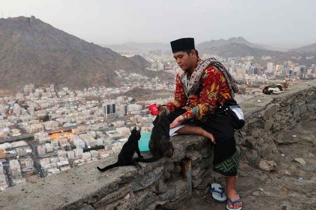 A Muslim pilgrim feeds cats while visiting Mount Al-Noor, where Muslims believe Prophet Mohammad received the first words of the Koran through Gabriel in the Hira cave, ahead of the annual haj pilgrimage, in the holy city of Mecca, Saudi Arabia, on June 11, 2024. (Photo by Saleh Salem/Reuters)