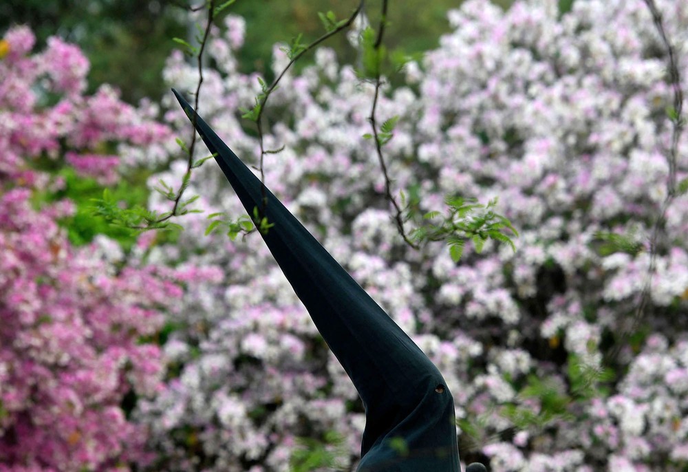 Pictures of the Year 2023, Part 071/224