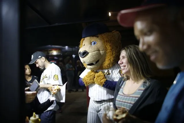 The mascot of Leones de Caracas stands with fans during the opening winter season baseball game between Leones de Caracas and Tigres de Aragua in Caracas, Venezuela, Tuesday, November 5, 2019. In Venezuela, local baseball remains a passion, where for a few hours it’s an oasis for people feeling overwhelmed by life. It’s a safe place to drink beer, hurl insults at players and blow off steam. (Photo by Ariana Cubillos/AP Photo)