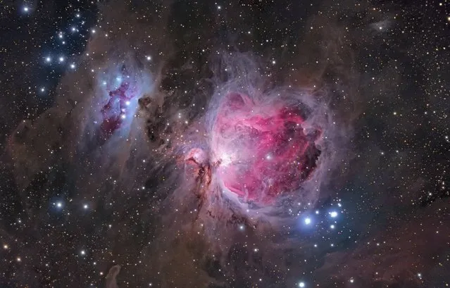 Orion Nebula by Anna Morris (USA). In this view of M42, more commonly known as the Orion Nebula, the photographer has emphasized the delicate veils of dust surrounding the more familiar gleaming heart of the nebula. The image highlights the structure of the object, giving a sense of vast cavities filled with pink hydrogen gas and the blue haze of reflected starlight. (Photo by Anna Morris)