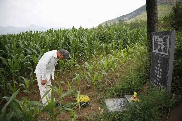 Zhang Shuangbing, an independent researcher about Chinese “comfort women” during World War Two, bows at the tomb of Liu Mianhuan after showing it to reporters at a mountain in Xiyan Town, Shanxi Province, China, July 18, 2015. (Photo by Kim Kyung-Hoon/Reuters)