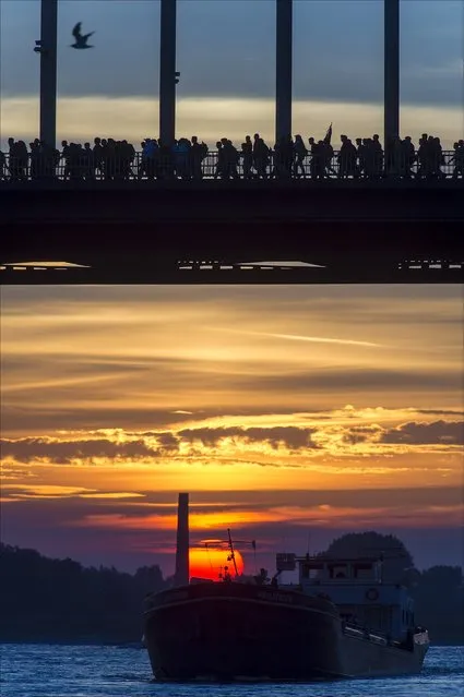 Walkers cross the river Waalbrug during the first day of the 98th annual four-days walking event, the “Vierdaagse” in Nijmegen, Netherlands, July 15, 2014. The “Nijmeegse Vierdaagse” is an annual public four-day field march which is held since 1909 in the third week of July. (Photo by Erik van 't Wout/EPA)
