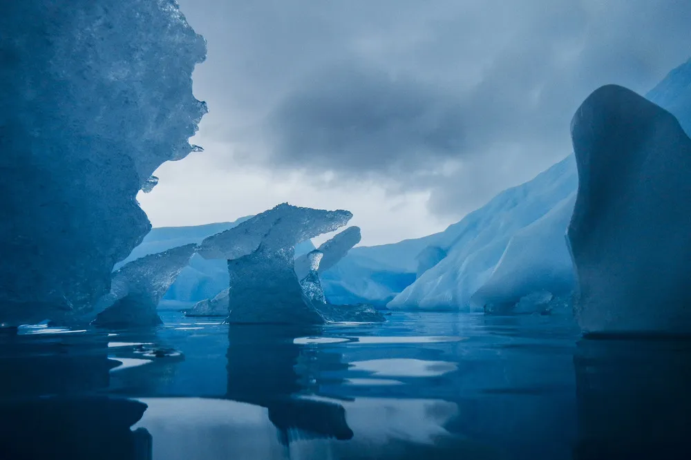 Serene Icebergs