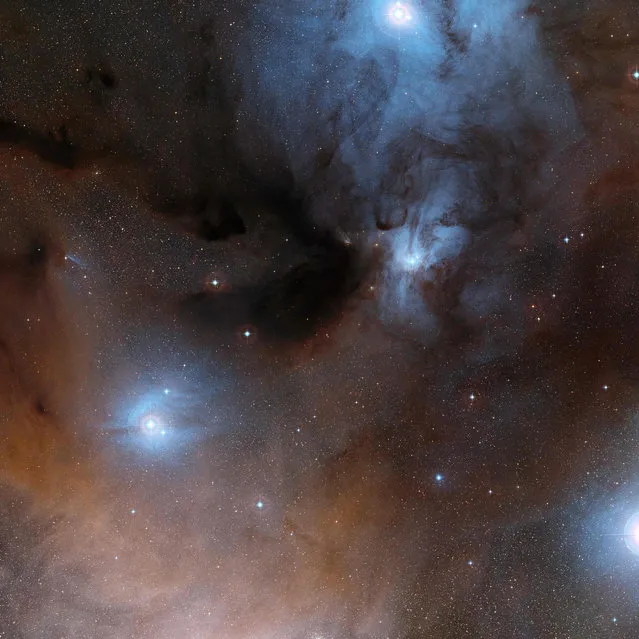 This handout picture released on June 8, 2017 by the European Southern Observatory shows a wide-field view of a spectacular region of dark and bright clouds, forming part of a region of star formation in the constellation of Ophiuchus (The Serpent Bearer). This picture was created from images in the Digitized Sky Survey 2. Two teams of astronomers said they have for the first time detected a key chemical building block of life swirling around infant stars that resemble our Sun before its planets formed. The molecule, methyl isocyanate, “plays an essential role in the formation of proteins, which are basic ingredients for life”, said Victor Rivilla, a scientist at the Astrophysics Observatory in Florence, Italy, and co-author of a study published in Monthly Notices of the Royal Astronomical Society. (Photo by AFP Photo/European Southern Observatory)