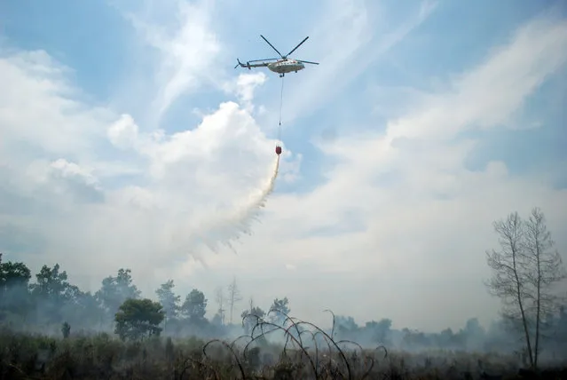 A helicopter from the Indonesian National Disaster Management (BNPB) drops water on a forest fire in Pekanbaru, Riau, Indonesia, August 10, 2016. (Photo by Rony Muharrman/Reuters/Antara Foto)