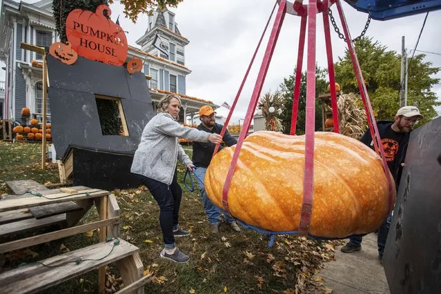 Sarah Beth Baker, left, helps other volunteers position her 1,080 pound pumpkin at the Pumpkin House on Wednesday, October 26, 2022, in Kenova, W.Va. (Photo by Sholten Singer/The Herald-Dispatch via AP Photo)