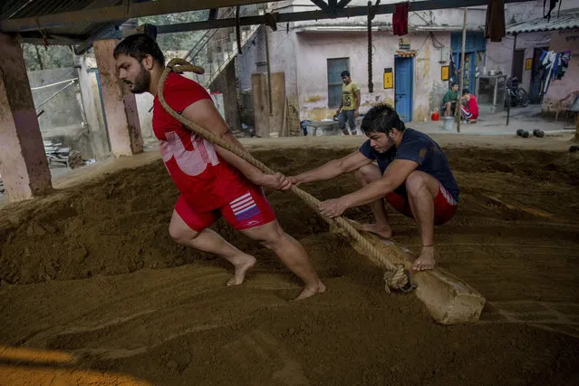 In this November 20, 2017 photo, Indian kushti wrestlers prepare the ground in the ring for a training session, at Hanuman Akhada, one of India's oldest akhada at Sabzi Mandi, in New Delhi, India. (Photo by Dar Yasin/AP Photo)