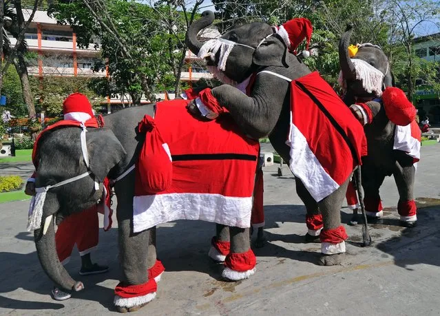 Elephants dressed in Santa Claus costumes perform for students ahead of the Christmas festival at a school in Ayutthaya province on December 23, 2011. The event was held as part of a campaign to promote Christmas in Thailand. AFP PHOTO/Pornchai  KITTIWONGSAKUL (Photo credit should read PORNCHAI KITTIWONGSAKUL/AFP/Getty Images)