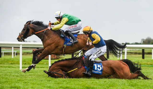 Meath, Ireland – 16 April 2017; Tudor City, with Davy Russell up, race ahead of Runforbob, with Sean Flanagan up, who fell over the last and did not finish, on their way to winning the Cusack Hotel Group Maiden Hurdle during the Fairyhouse Easter Festival at Fairyhouse Racecourse in Ratoath, Co Meath. (Photo by Cody Glenn/Sportsfile via Getty Images)