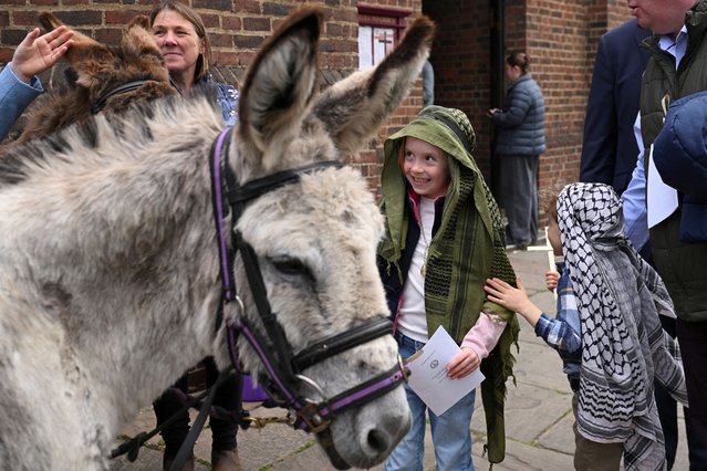 Children wearing keffiyeh approach donkeys before donkeys lead a procession into the Chelsea Old Church for a Palm Sunday service in London, Britain on April 13, 2025. (Photo by Jaimi Joy/Reuters)