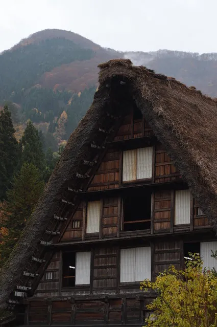 The traditional farm houses and coloured leaves at Shirakawa-go, the UNESCO World Heritage site on November 9, 2014 in Shirakawa, Japan. (Photo by Kaz Photography/Getty Images)