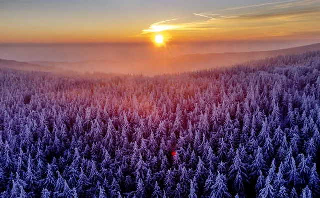 The sun rises over the frozen trees of the Taunus region near Frankfurt, Germany, on a cold Tuesday, December 13, 2022. (Photo by Michael Probst/AP Photo)