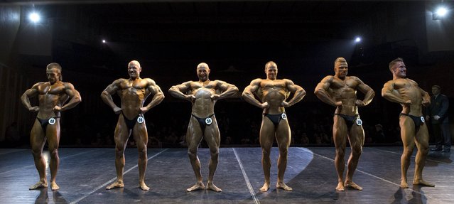 Men take part in Belarus Cup in bodybuilding and fitness in Minsk, October 24, 2015. (Photo by Vasily Fedosenko/Reuters)