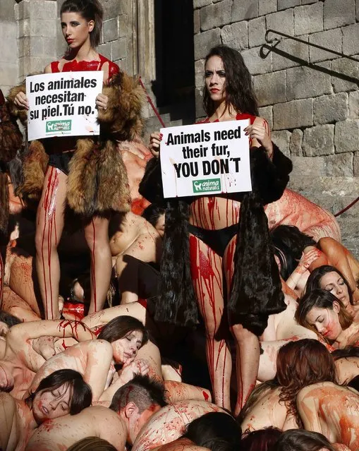 AnimaNaturalis activists protest against the usage of animal covering for clothing at La Plaza del Rey in central Barcelona December 7, 2014. The placard reads, “Animals need their fur. You don't”. (Photo by Gustau Nacarino/Reuters)