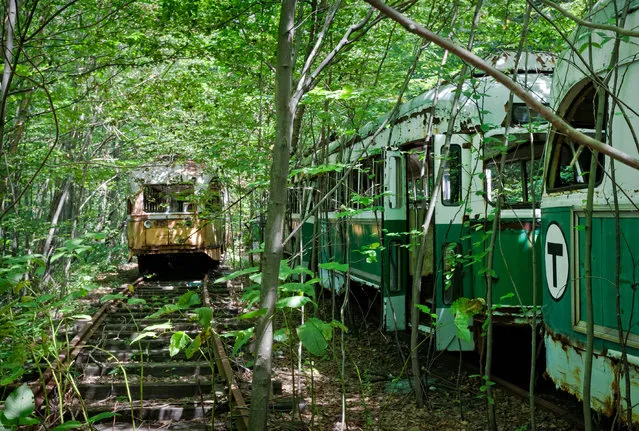 Abandoned trolley graveyard in Pennsylvania. (Photo by Matthew Christopher/Abandoned America/Caters News Agency)