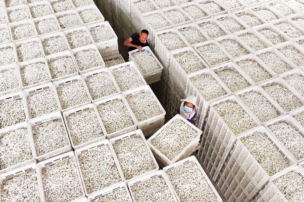 A Look at Life in China