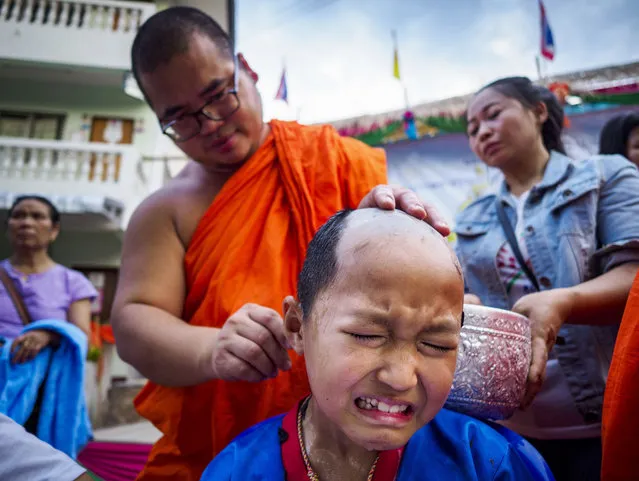 Shan boys pray before they have their heads shaved in anticipation of their ordination in the Poy Song Long Ceremony at Wat Pa Pao in Chiang Mai, Thailand on April 3, 2018. Poy Sang Long (“The Festival of the Crystal Sons”) is a ceremony that marks a rite of passage among the Buddhist Shan people in Myanmar and northern Thailand. Boys between seven and fourteen years of age are ordained as Buddhist novices during a three day ceremony. Before the ceremony starts the boys have their heads shaved. (Photo by Jack Kurtz/ZUMA Wire/Rex Features/Shutterstock)