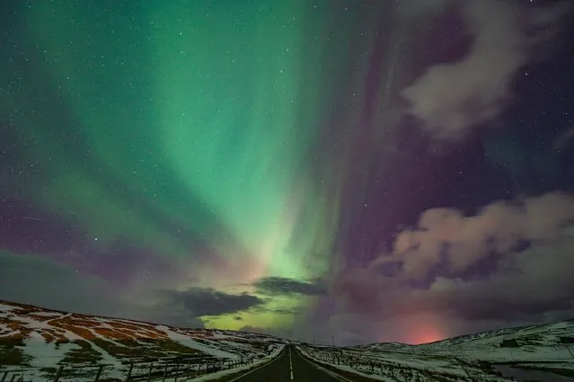 The stunning colours of the northern lights, the aurora borealis, were seen from Yell, Shetland Islands, Scotland in the second decade of March 2023. (Photo by Yan Nisbet/Capture Media Agency)