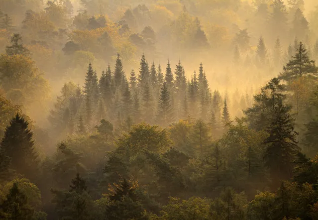 “Fog and Sunrise”. Canon EOS 7D F/2.8 1/400 sec ISO-100 200mm. Photo is taken the 25/09/2011 at 07:46am in ,Vorderweidenthal a municipality in Südliche Weinstraße district, in Rhineland-Palatinate, Western Germany. (Photo and caption by Sausse David/National Geographic Traveler Photo Contest)