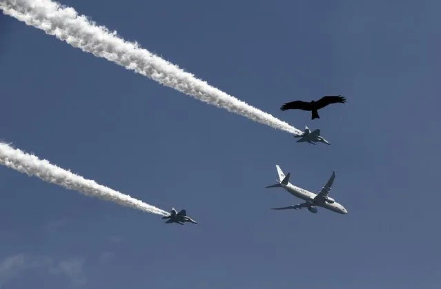 An eagle flies amid contrails from the Indian Air Force aircrafts during a full dress rehearsal for the Republic Day parade in New Delhi January 23, 2015. (Photo by Adnan Abidi/Reuters)