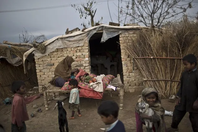 Pakistani children play around a woman, center, cleaning the hair of her children on a bed outside her makeshift home in a slum on the outskirts of Islamabad, Pakistan, Friday, January 23, 2015. (Photo by Muhammed Muheisen/AP Photo)