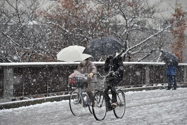 People cycle in snowfall in Tokyo on November 24, 2016. (Photo by Kazuhiro Nogi/AFP Photo)
