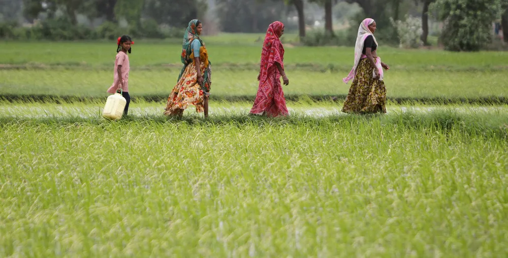 Life in Indian Villages