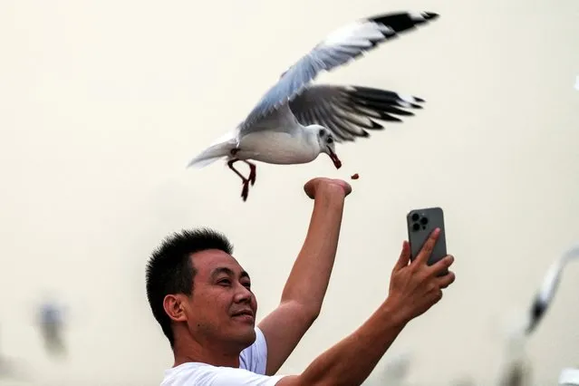 A man feeds a seagull at Bang Pu seaside resort in Samut Prakan province on the outskirts of Bangkok, Thailand on November 8, 2023. (Photo by Athit Perawongmetha/Reuters)