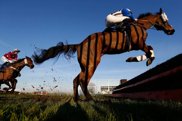 Jamie Moore riding Alfie Spinner lead all the way to win The Higos Insurance Services Somerset National Handicap Steeple Chase at Wincanton Racecourse on January 19, 2017 in Wincanton, England. (Photo by Alan Crowhurst/Getty Images)