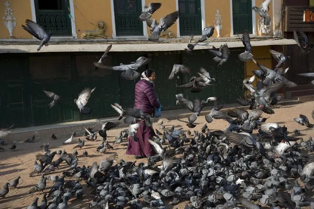 A Nepalese woman feeds pigeons at the Boudhanath Stupa two days after an earthquake devastated the region in Kathmandu, Nepal, Monday, April 27, 2015. The earthquake was the worst to hit the South Asian nation in more than 80 years. (Photo by Bernat Armangue/AP Photo)