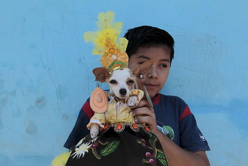 The Day in Photos – March 15, 2016