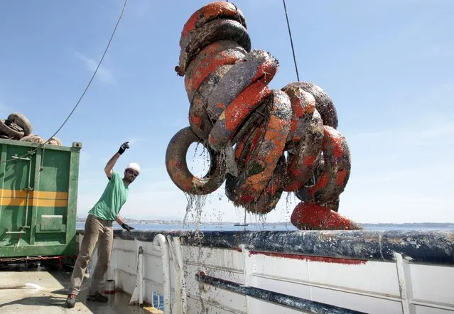 Tyres are removed from the Mediterranean Sea on May 12, 2015 in Vallauris Golfe-Juan, southeastern France. 2,500 tyres used as artificial reefs have been removed these last days in this bay. About 25,000 had been immersed in the Mediterranean Sea between the cities of Cannes and Antibes in the 1980s. (Photo by Jean Christophe Magnenet/AFP Photo)