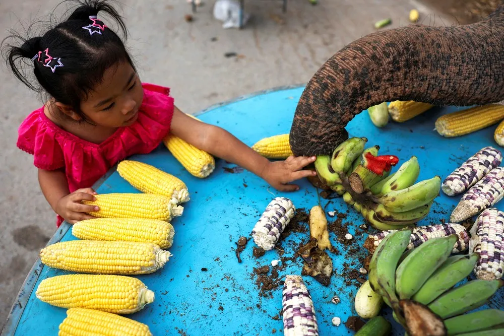 A Look at Life in Thailand