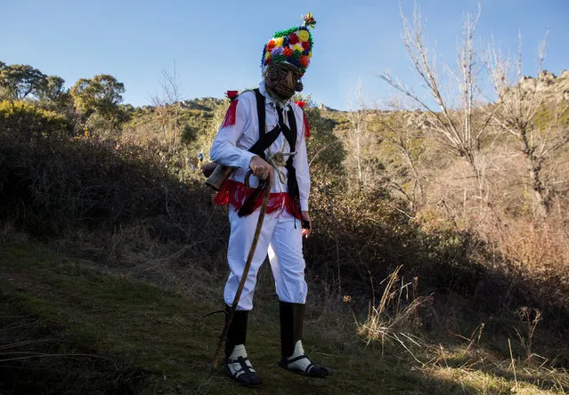 A reveller wears a mask as while dressed as “Botargas” during carnival celebrations in Almiruete, Spain, February 25, 2017. (Photo by Sergio Perez/Reuters)